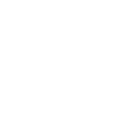 professionalism (2) (1)